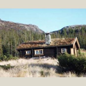 Kokt linolje - linolje kokt med trkemiddel