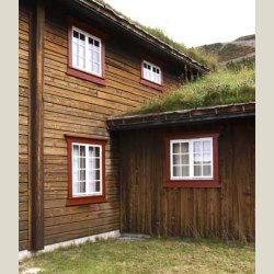 Antikvarisk tjrebeis - mrk, basert p ekte tjre