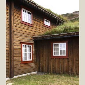 Antikvarisk tjrebeis - mrk, basert p ekte tjre