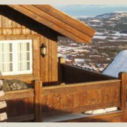 Tjrebeis - snn arbeides med tjrebeis !