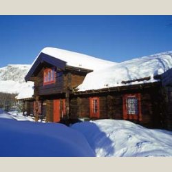 Kaldpresset linolje - fin gylden r linolje