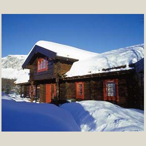 Kaldpresset linolje - fin gylden r linolje