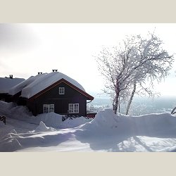 Kaldpresset linolje - fin gylden r linolje