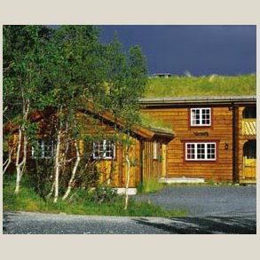 Tjrebeis topkvalitet - basert p milebrent tjre.